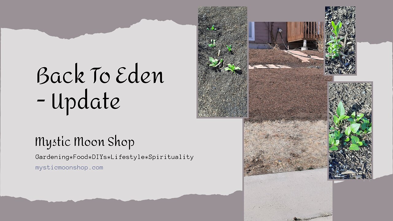 Back To Eden Update May 2023