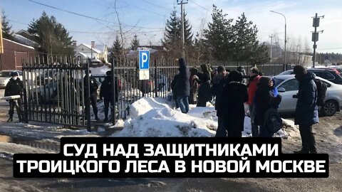 Суд над защитниками Троицкого леса в Новой Москве / LIVE 14.02.22