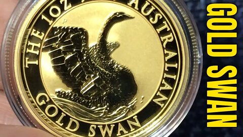 2020 Gold Swan Unboxing