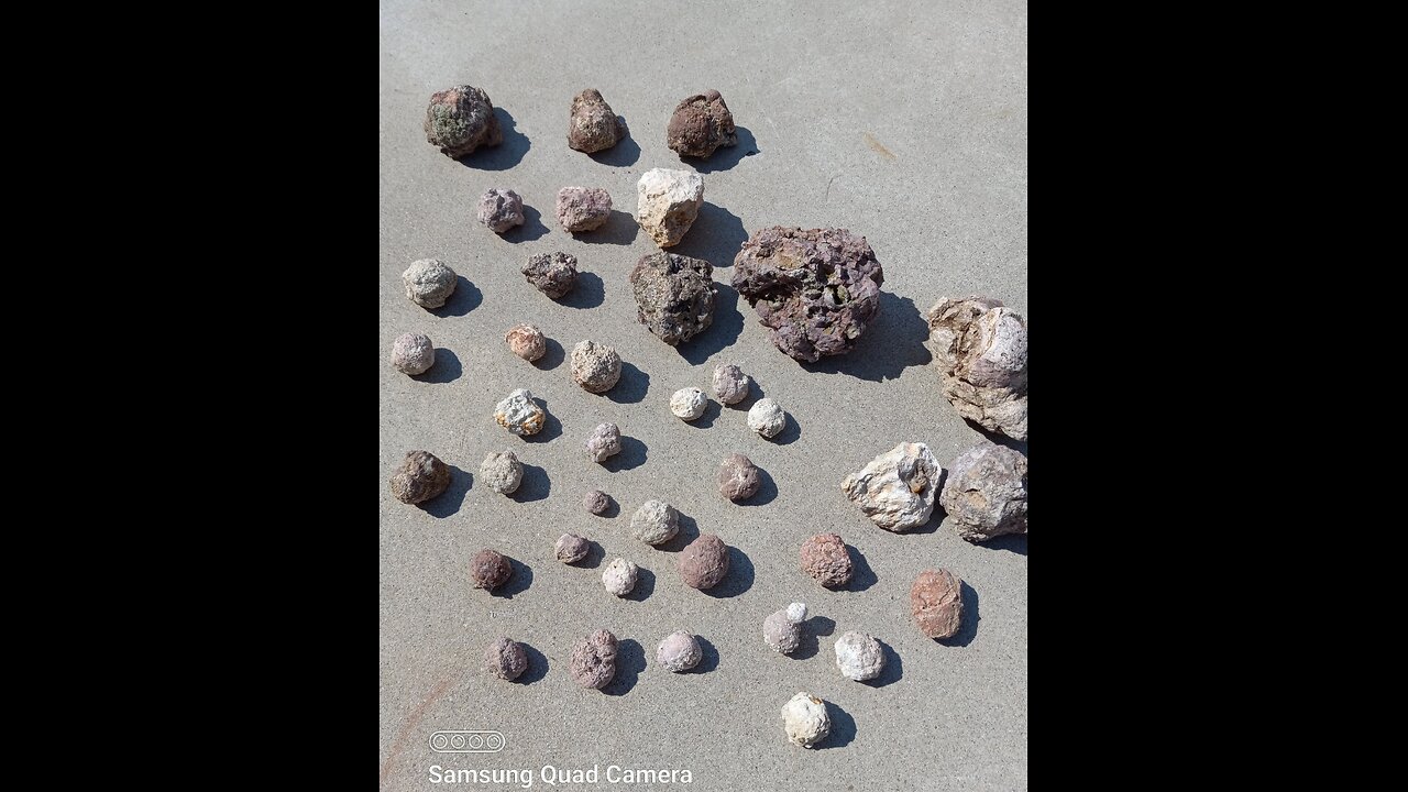 Thundereggs from Sommer Rd.