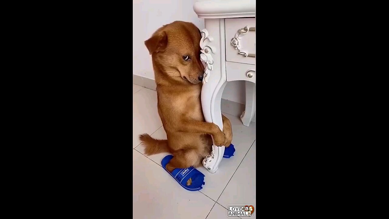 ðŸ«
