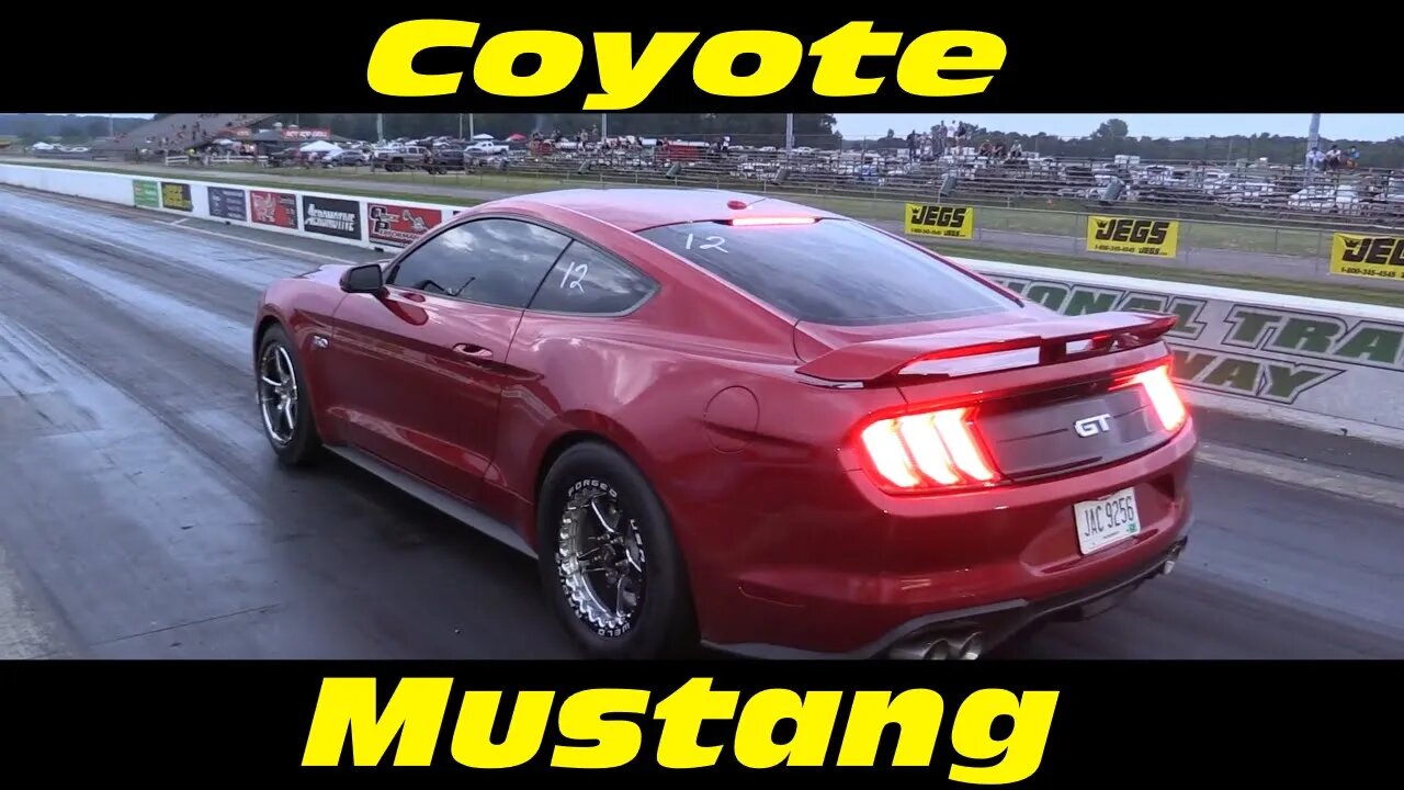 Beautiful Coyote Mustang at the Midnight Street Drags