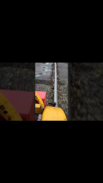 Cruising on a Speeder