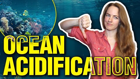 'Ocean Acidification' Doesn't Mean What You Think It Means