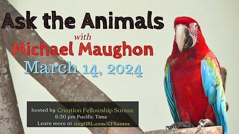 Ask the Animals! by Michael Maughon