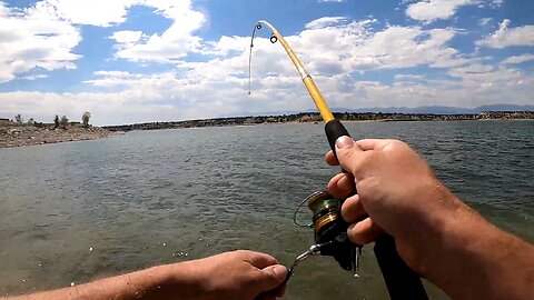 Bank Fishing for Smallmouth Bass at Lake Pueblo With Cheap Travel Rod