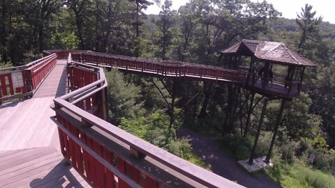 TREE HOUSE AND WATERFALL AT NAY AUG PARK SCRANTON PA