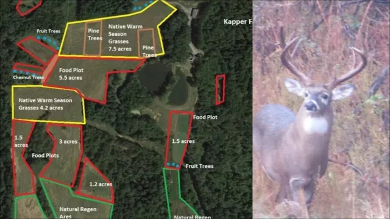 Illinois soybean food plot Conservation plan Update! HUGE IL buck revealed & more.