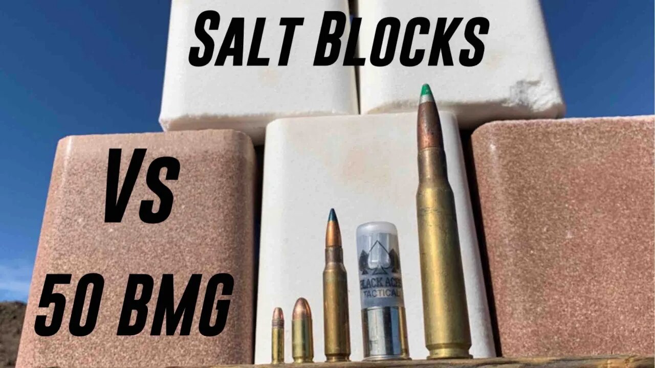 Salt Blocks vs 50 Cal Raufoss Round and Friends