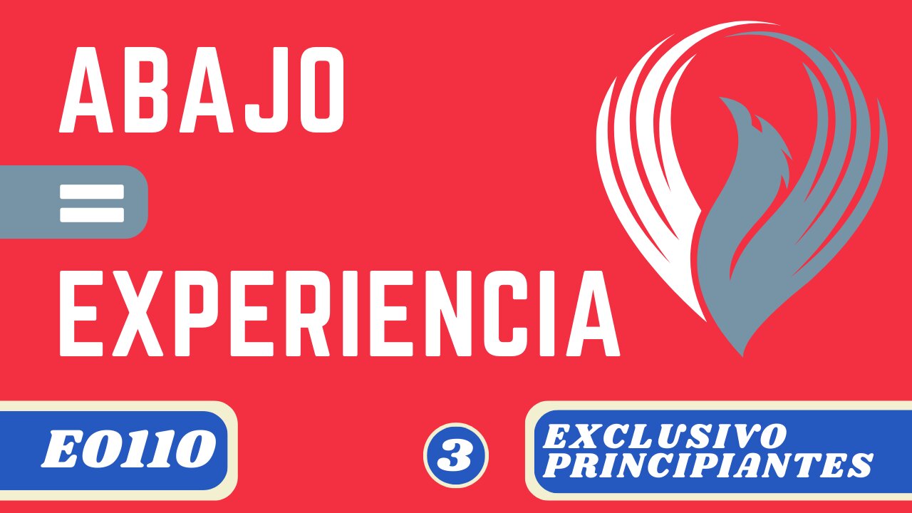 ABAJO = EXPERIENCIA (E0110)