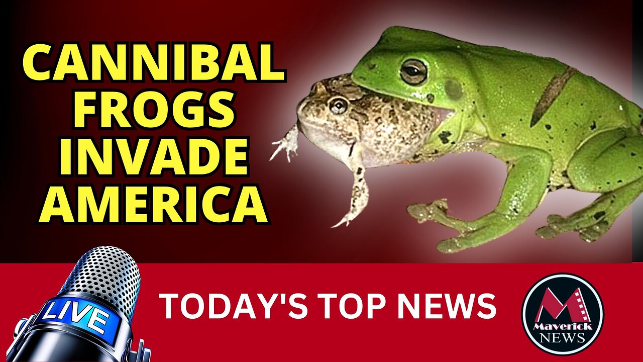 Cannibal Frogs Invade America | Maverick News