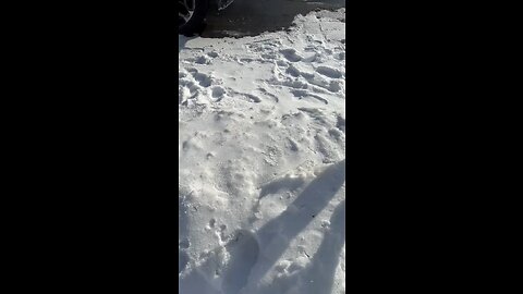 Playing in the Snow - Part# 2