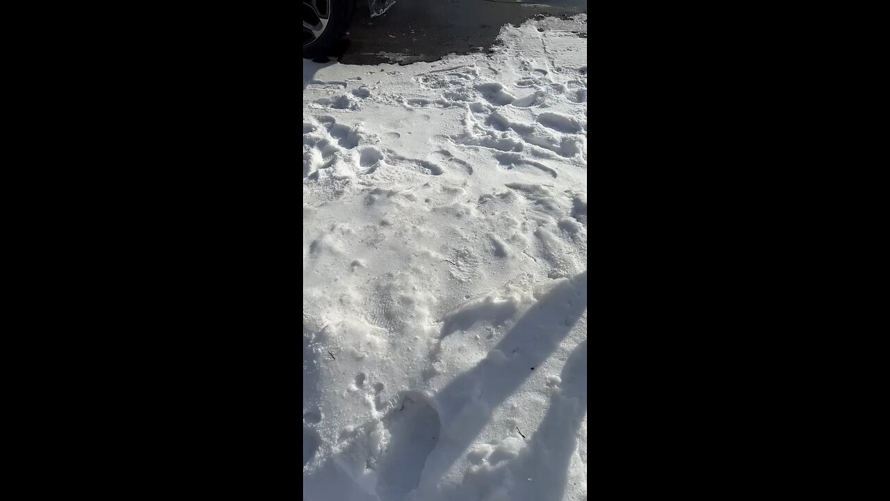 Playing in the Snow - Part# 2