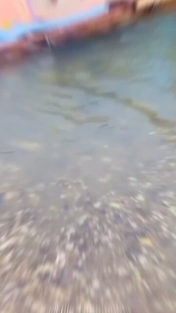 Jamaica is the ultimate paradise for tourists!