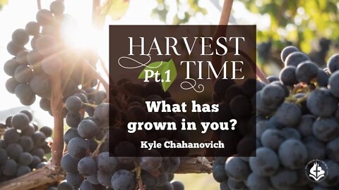 Harvest Time - What Has Grown In You? - Kyle Chahanovich October 3rd, 2021