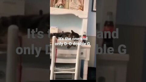 MEME is the one and only D-O double G #shorts