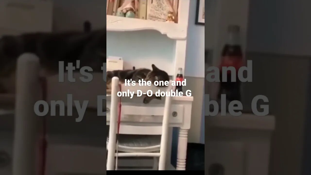 MEME is the one and only D-O double G #shorts