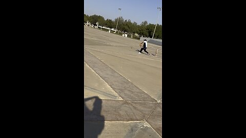 Cricket shot