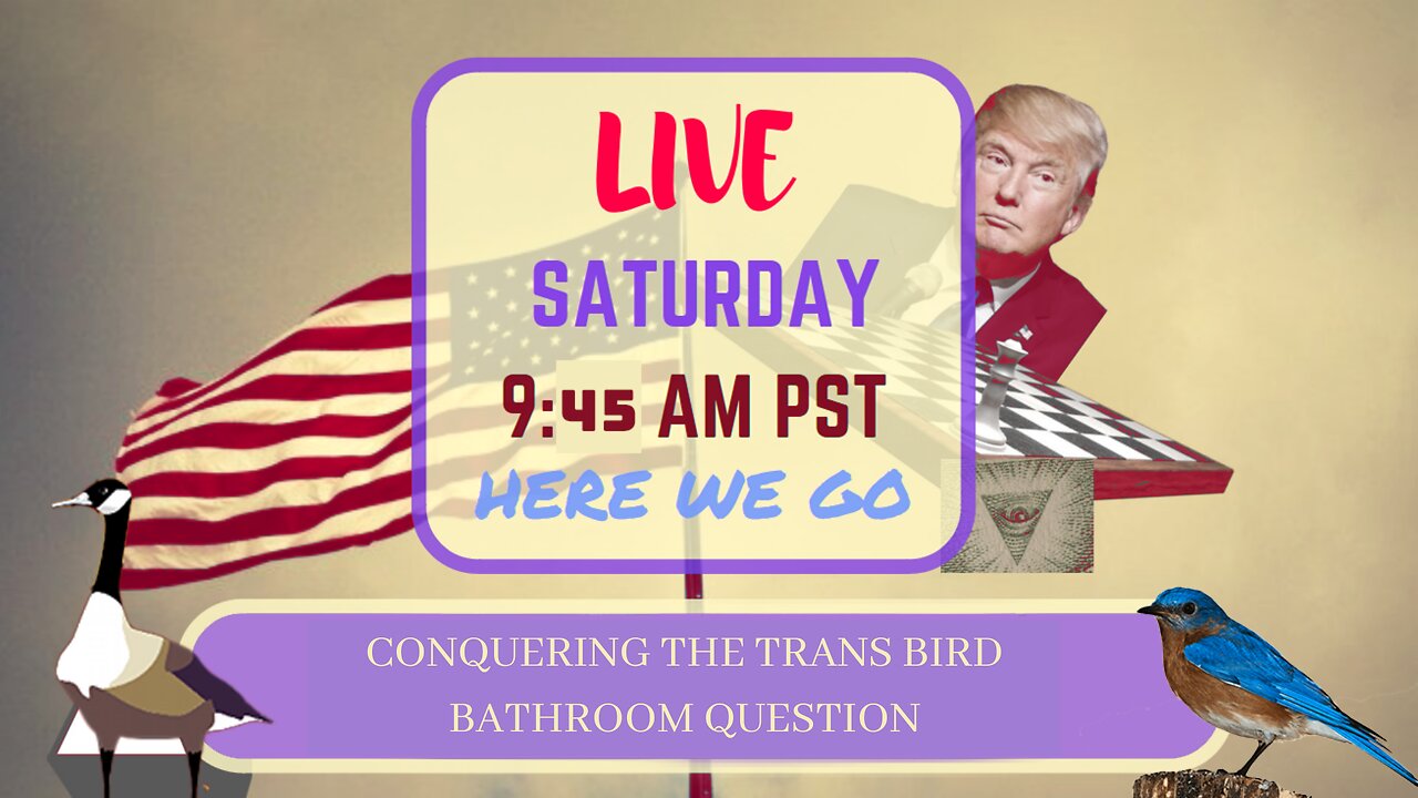 Saturday *LIVE* Conquering The Trans Bird Bathroom Question