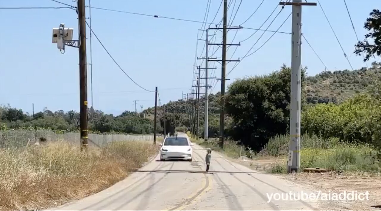 SELF DRIVING TESLA Misses signs signals Runs over kids dogs