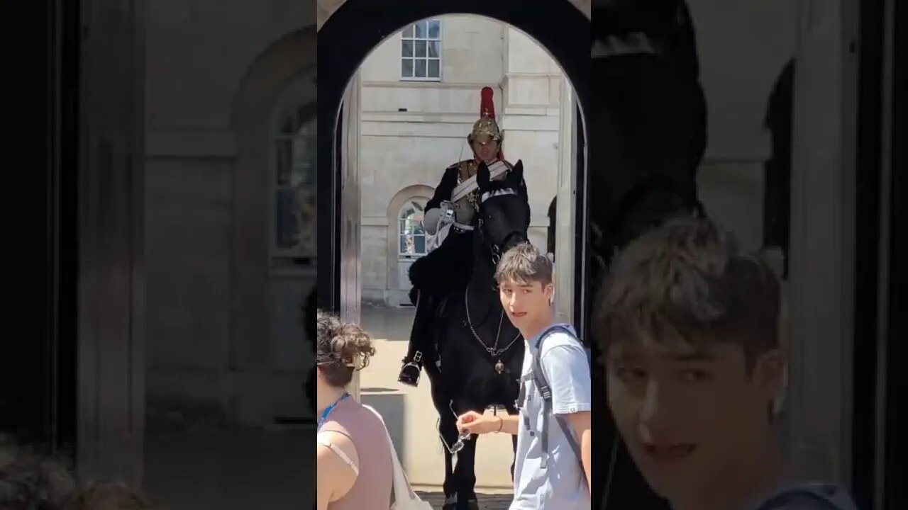 extinction rebellion scares the queen's guards horse #protest in full