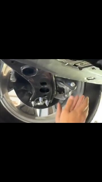 New Car Came With A Small Surprise, A Kitten - HaloPets