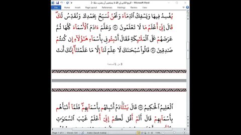 2 الربع الثاني إن الله لا يستحيى أن يضرب مثلا ختمة جمع القرآن بالقراءات العشر تلاوة أم فدوى