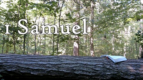 1 Samuel | The Holy Bible | Old Testament 9/39