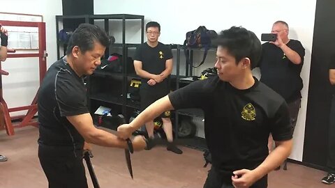 Wing Chun - Baat Jaam Do / Butterfly Swords Flow and Application