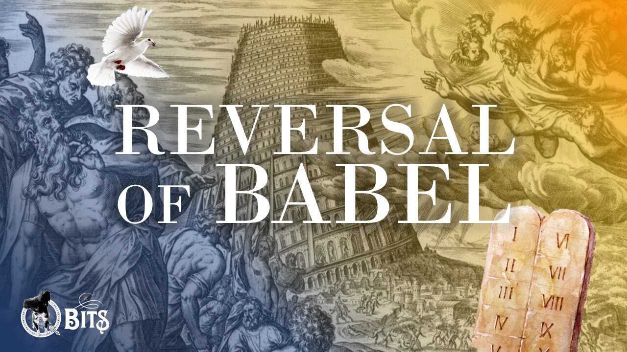 #718 // REVERSE OF BABEL - LIVE