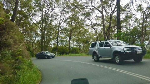 Driving on Top of Mount Tamborine || QUEENSLAND