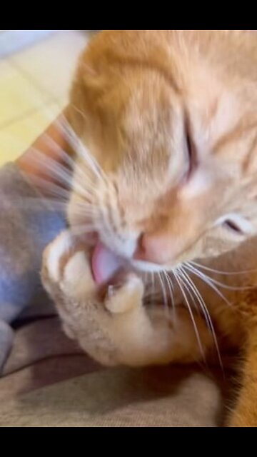 live your beautiful life