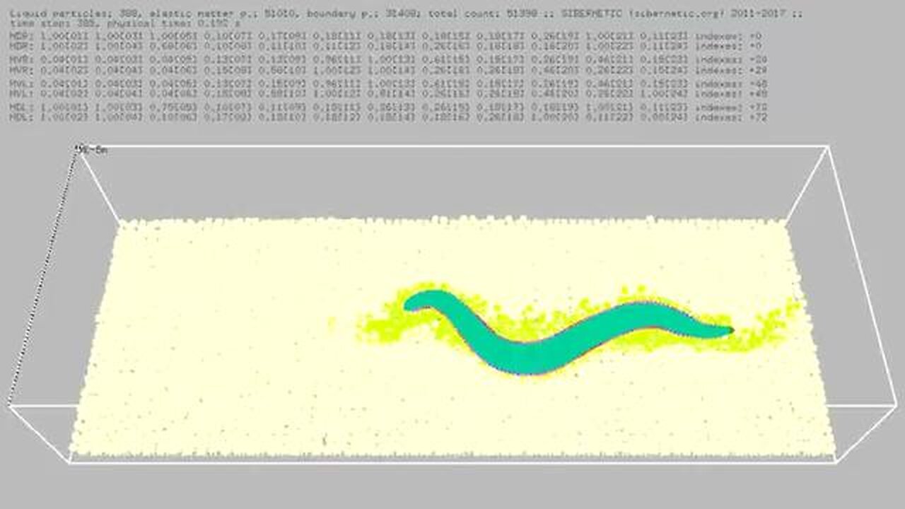 Worm Proves We're In a Computer Simulation [maybe]