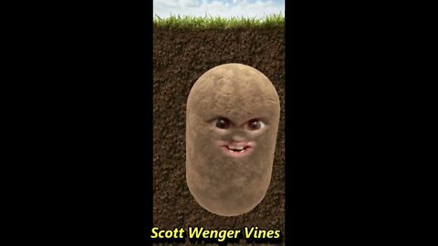 I'm Just A Potato......