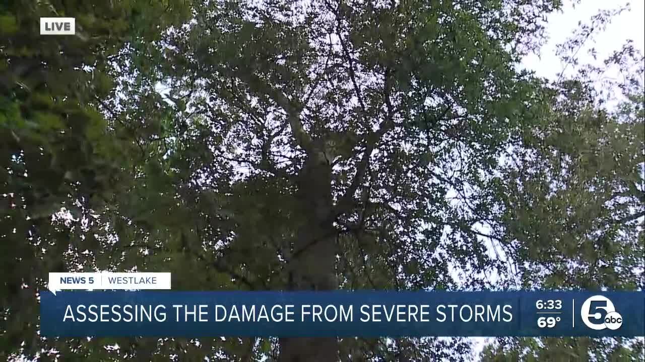 Residents assess storm damage in Westlake