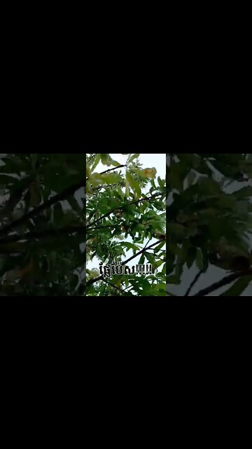 💣🍑પીચીસ!👌☺😌