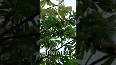 💣🍑પીચીસ!👌☺😌