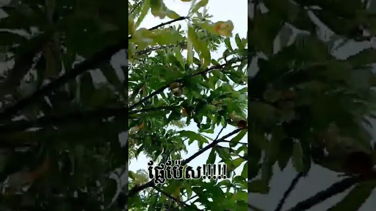 π£πΰͺͺΰ«ΰͺΰ«ΰͺΈ!πβΊπ