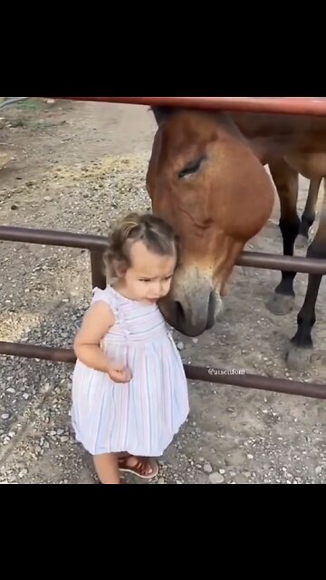 Cute baby & Cute animals 😍😍😍😍