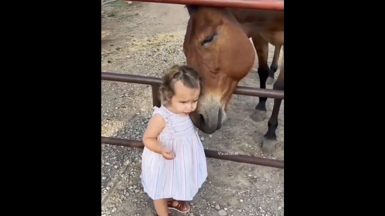 Cute baby & Cute animals 😍😍😍😍