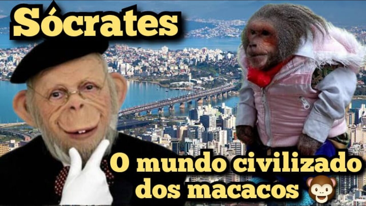 Escolinha do Professor Raimundo; Sócrates, o mundo organizado e ecológico dos macacos 🙊🙈🙉