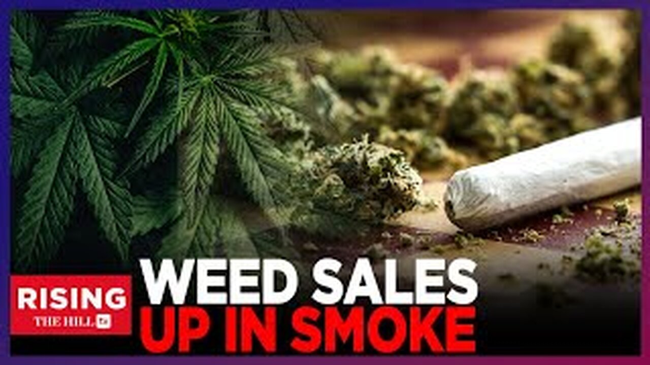 Colorado WEED Businesses FAILING;Marijuana Sales Decline 16% In 2024