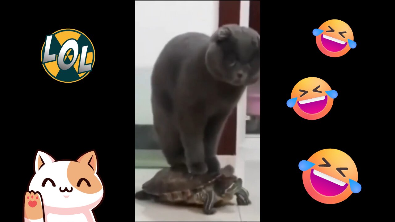 Hilarious Pets Alert! Funny Animal Videos 2023 Edition