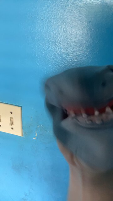 Stumbling over my words