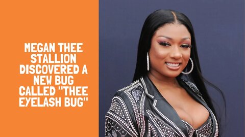 Megan Thee Stallion discovered a new bug called "Thee Eyelash Bug"