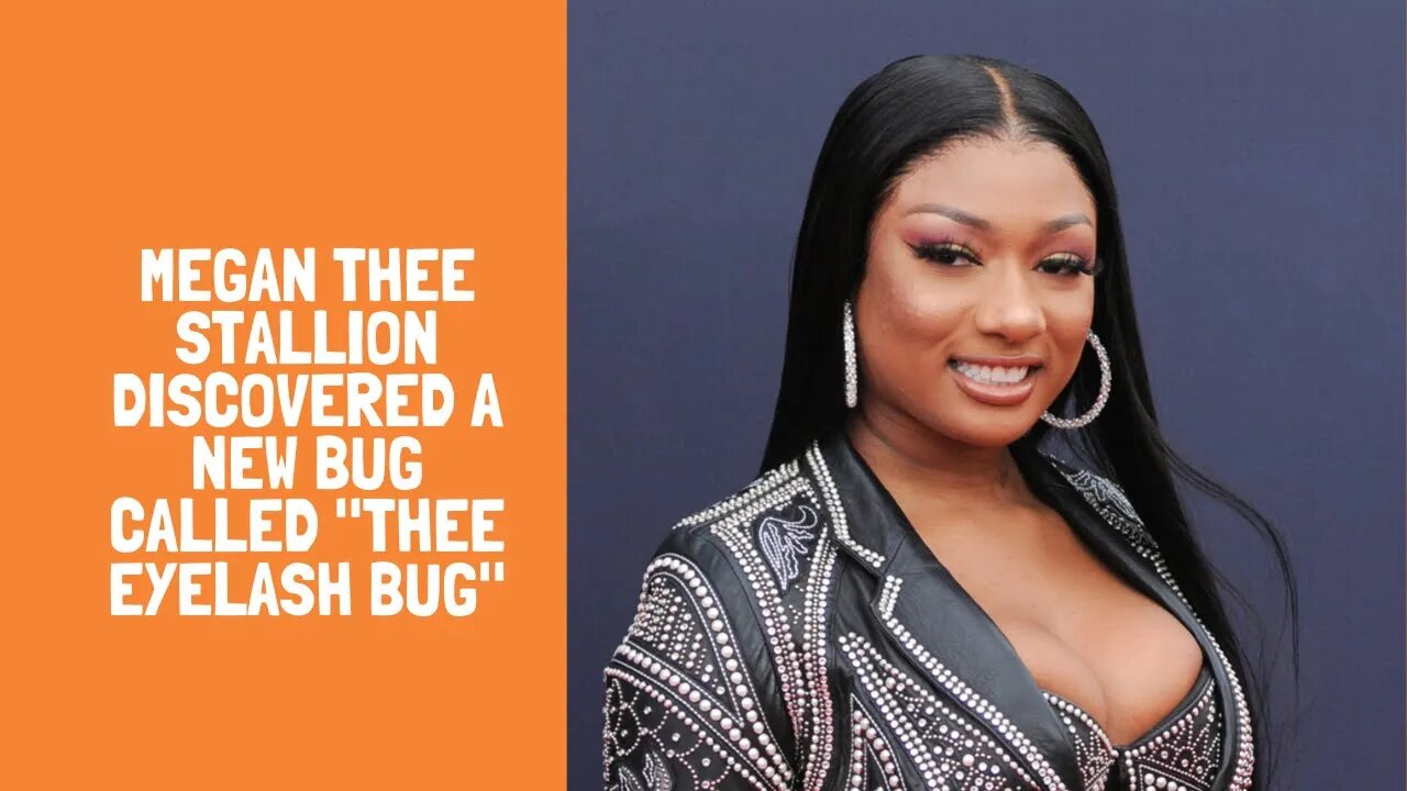 Megan Thee Stallion discovered a new bug called "Thee Eyelash Bug"