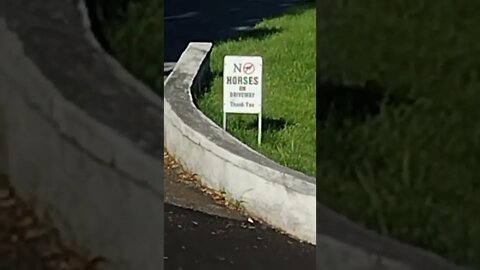 no horses on driveway