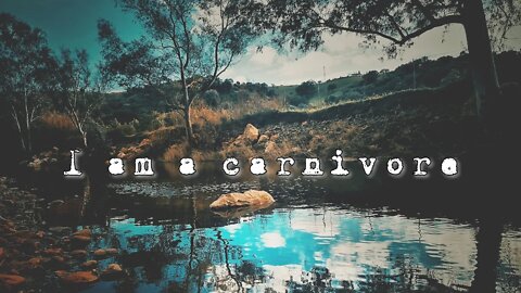 🇪🇸 I am a carnivore | VANLIFE SPAIN