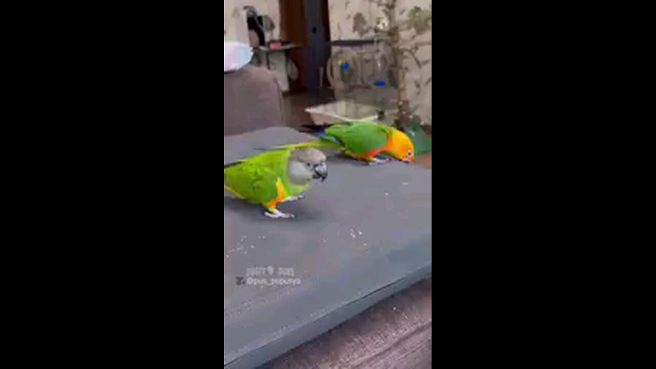 My life is Is Best part in the video part in the video