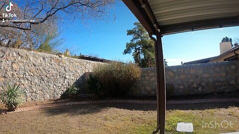 Discovering Brilliance: Mando’s Lawn Care Unveils a Hidden Sprinkler Head Upgrade!